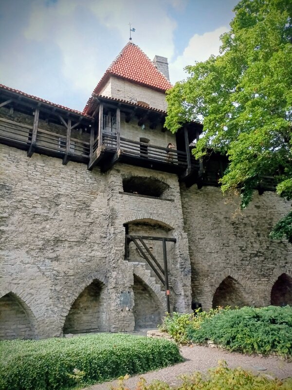 В Саду датского короля - Veera V