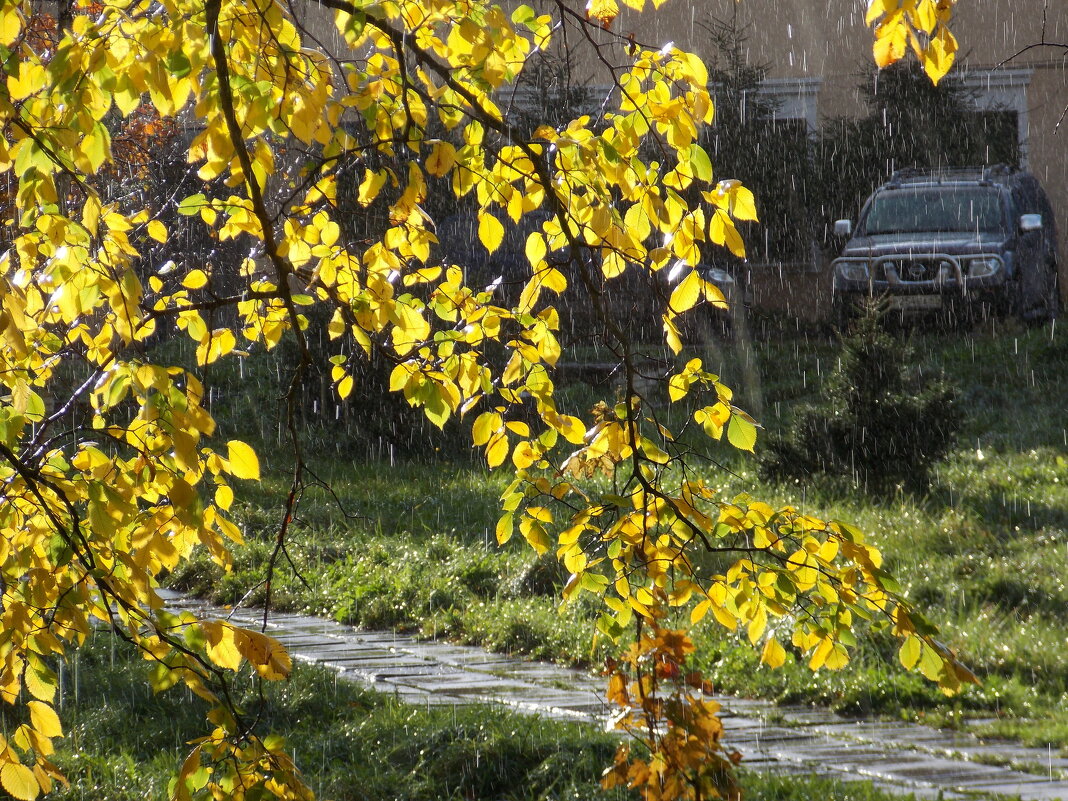 Дождик  и  солнце - Фотогруппа Весна
