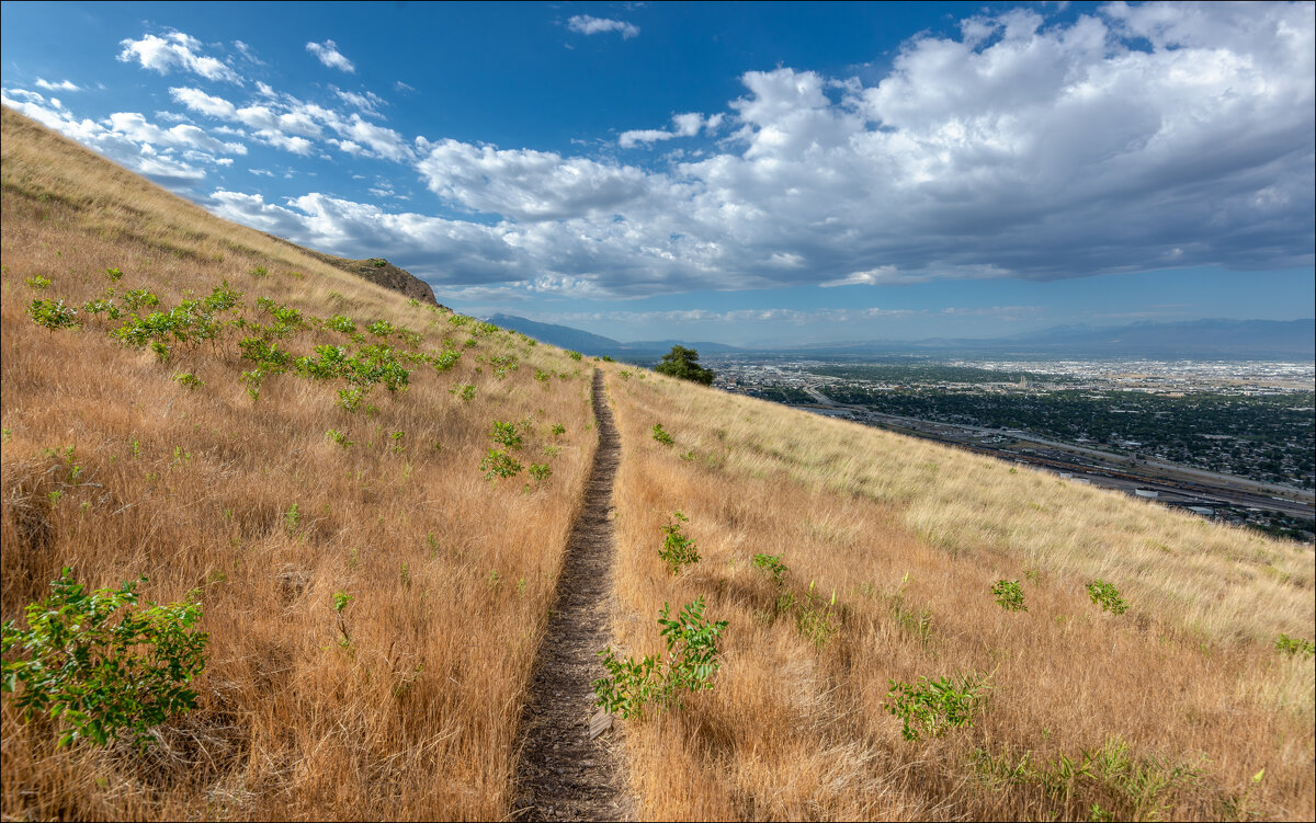 Тропинка - **** vedin