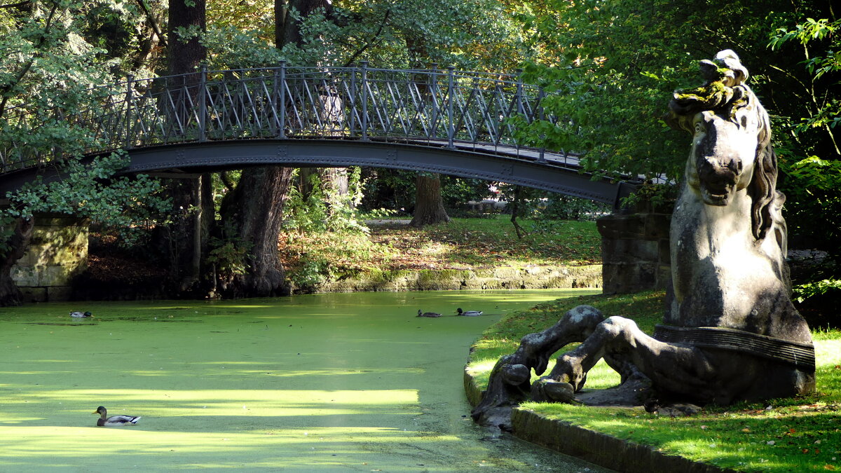 Скоро осень, за окнами август, От дождя потемнели кусты, - "The Natural World" Александер