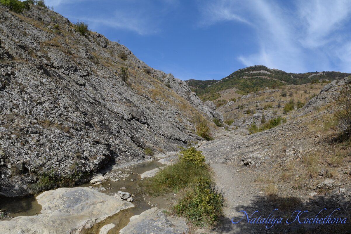 Природа Крыма - Amazing Cosmea