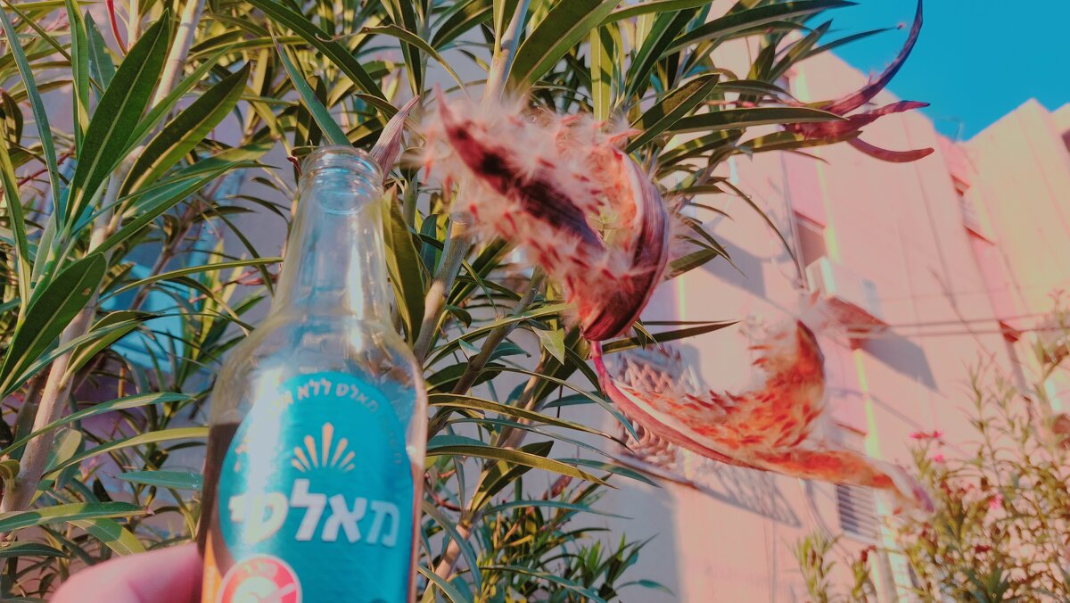 13  ОПЕН (529) - OPEN WAYS ALL