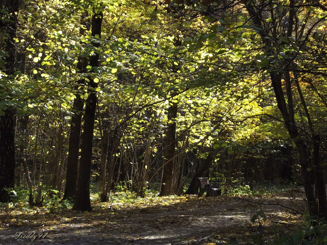 В парке... - Freddy 97