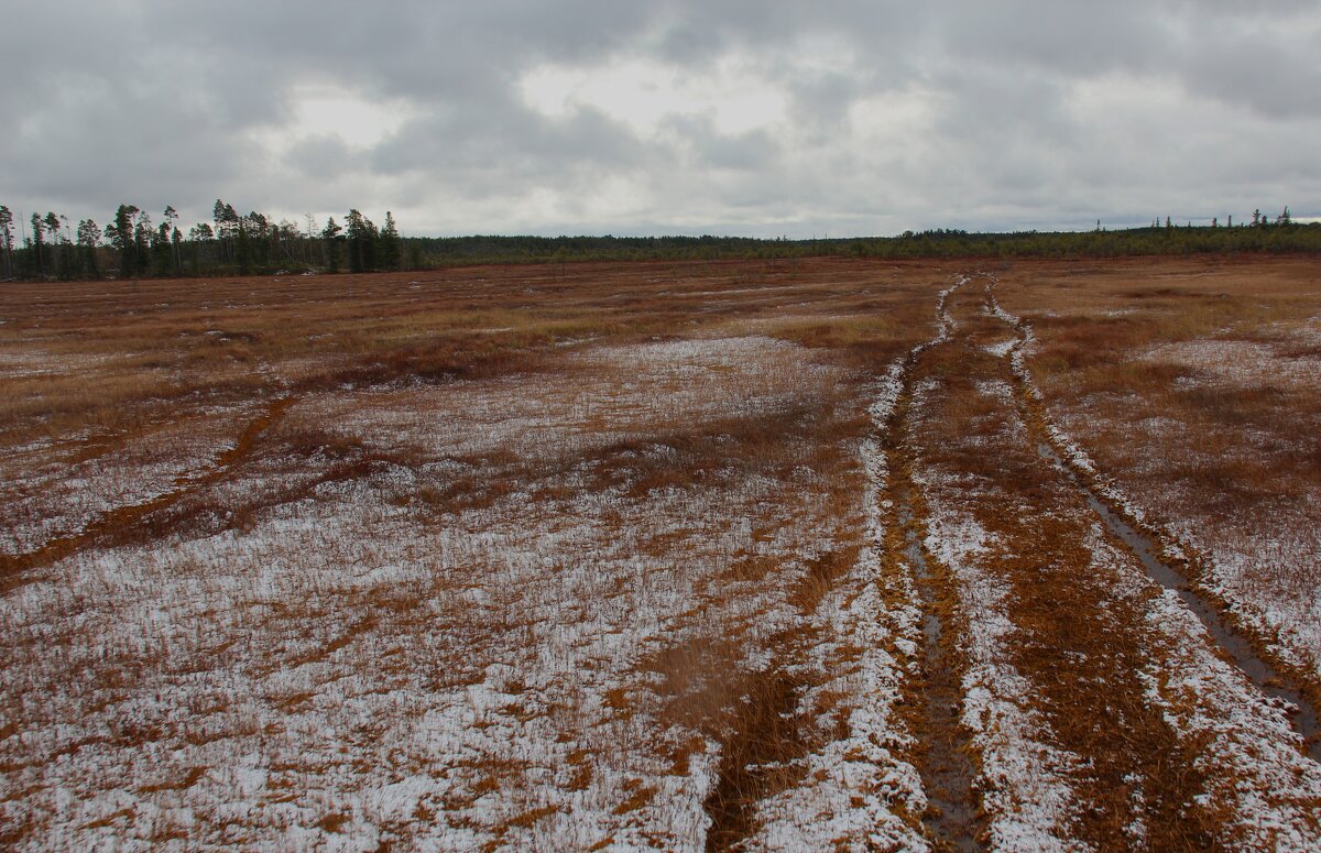 След - Сергей Никифоров