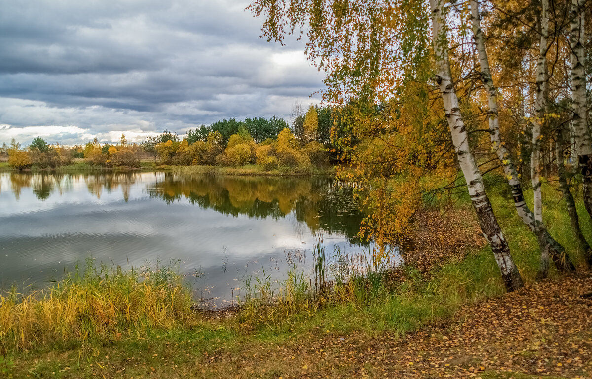 И снова Осень 2 - Андрей Дворников