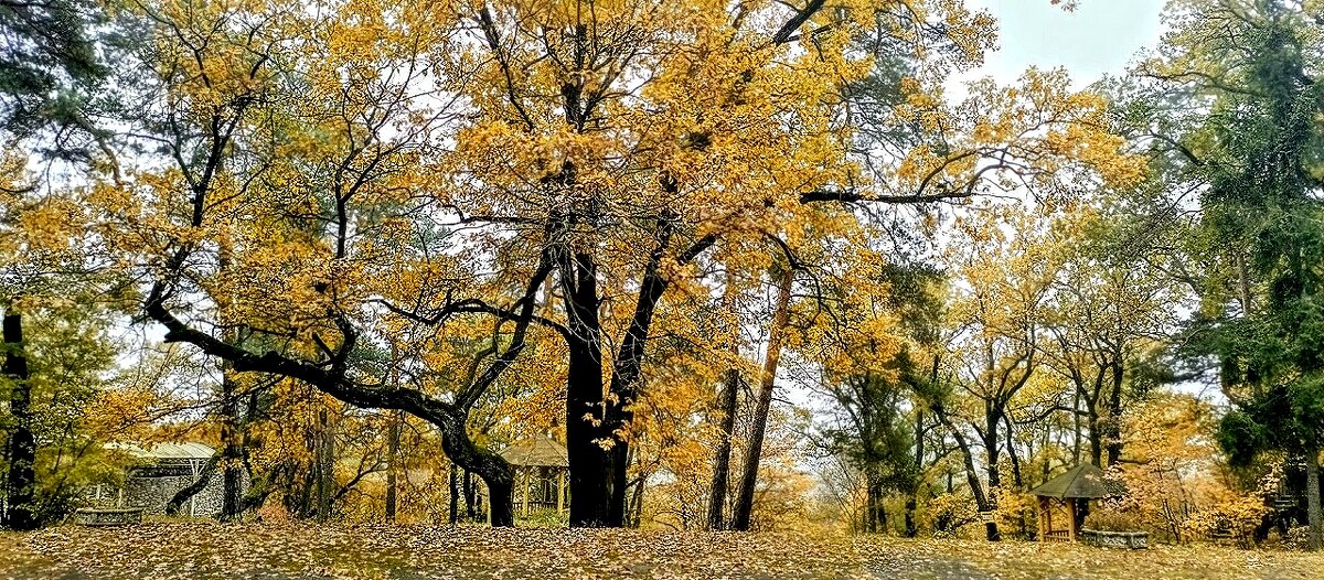 Октябрь... - Михаил Столяров