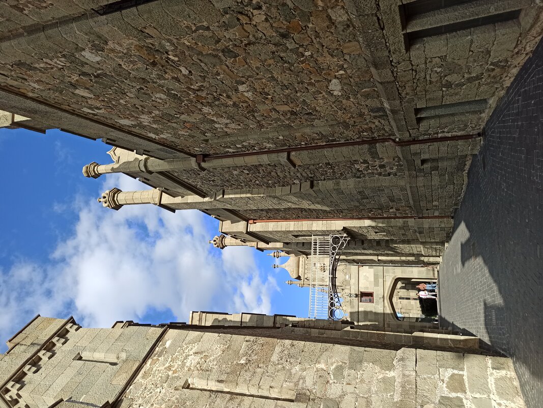 Воронцовский дворец - Галина 