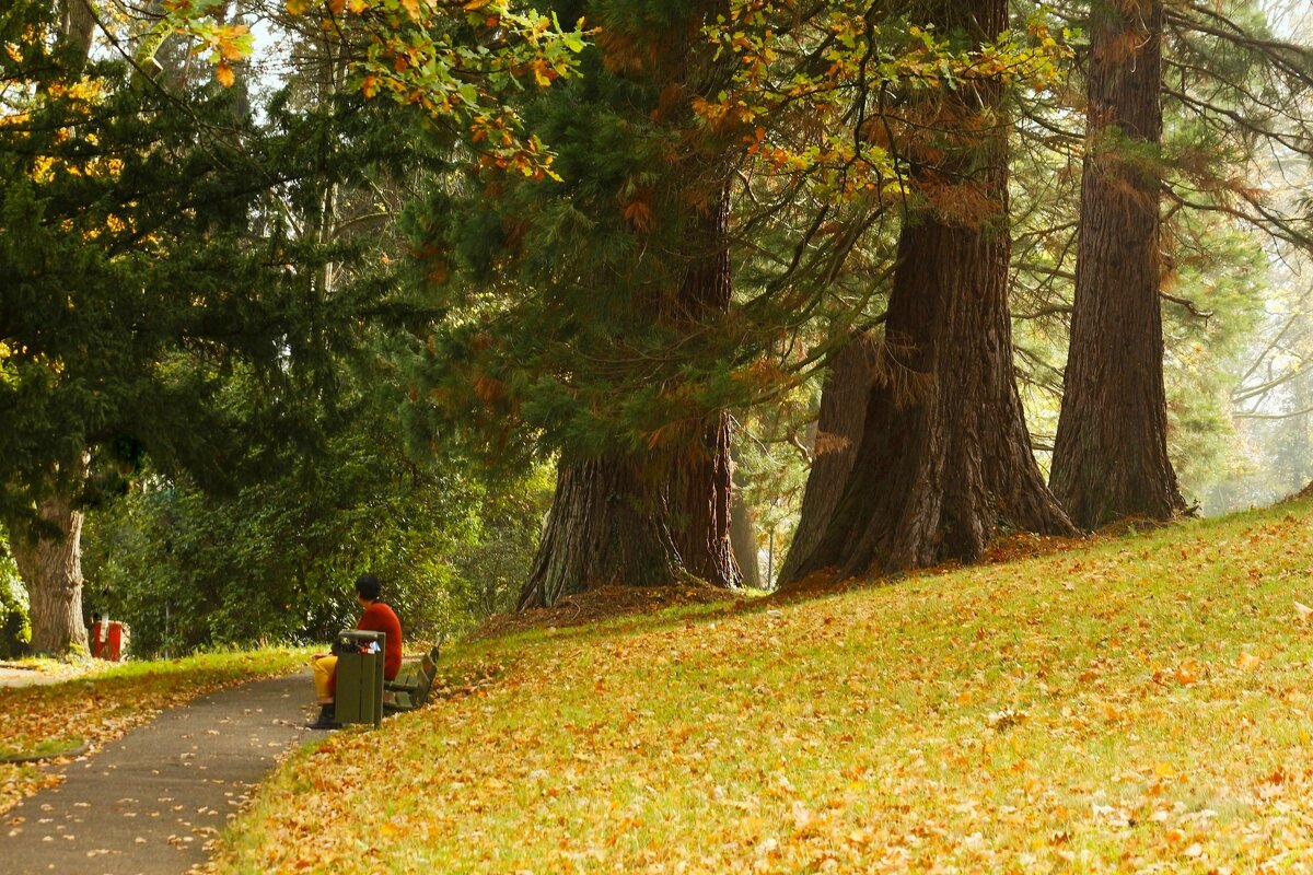 И тишина - Юрий. Шмаков