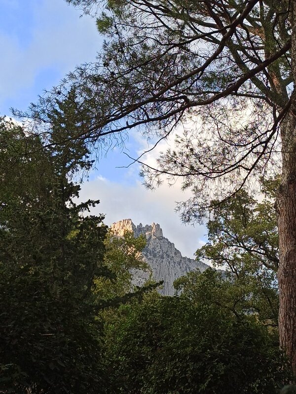 Воронцовский парк. Крым. - Галина 