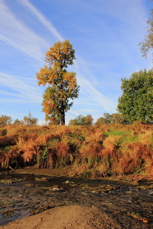 Тяга к небу - Евгений Корьевщиков