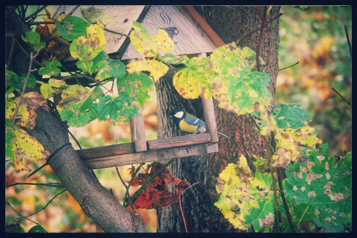 * * * - Руслан 