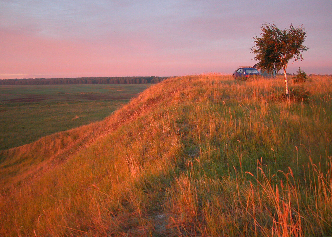 Утро красит нежным цветом ... - Наталья Лунева 