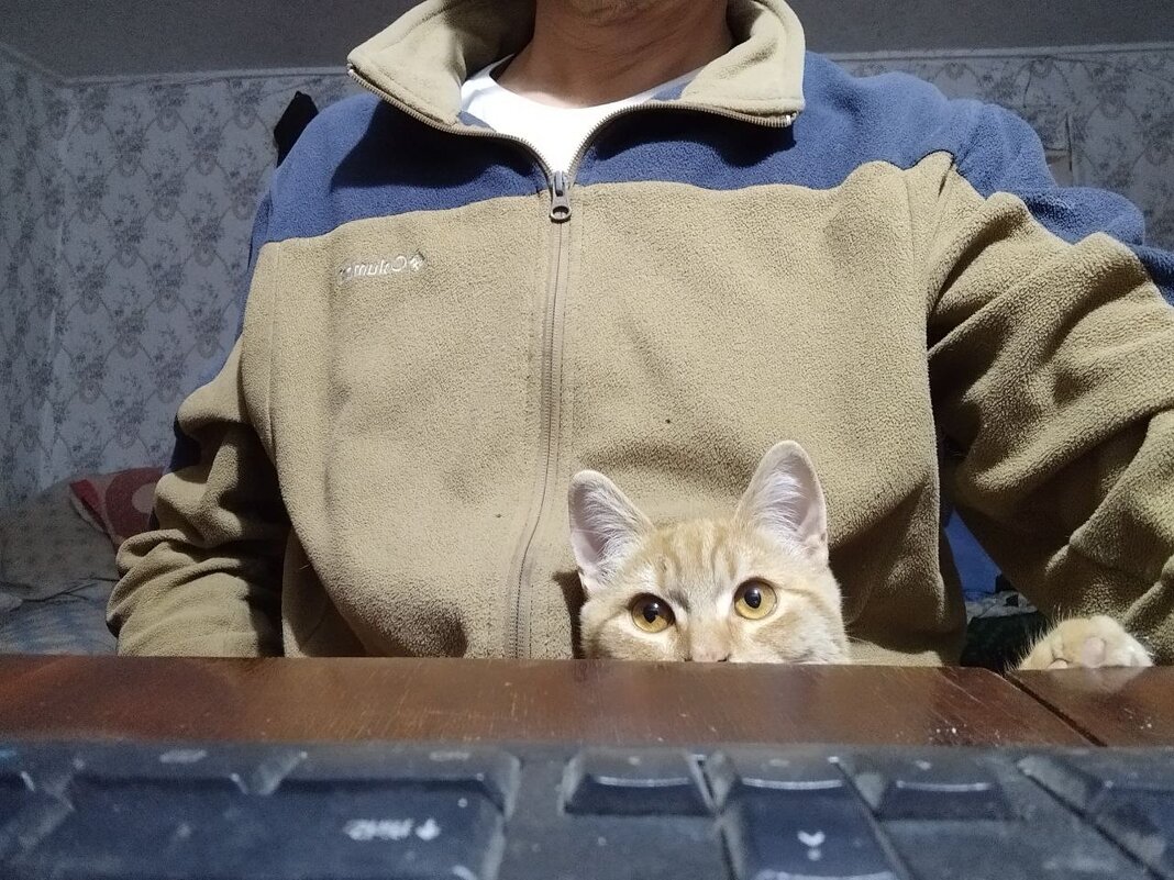 Смотрим новости - Pavel Bamboleo