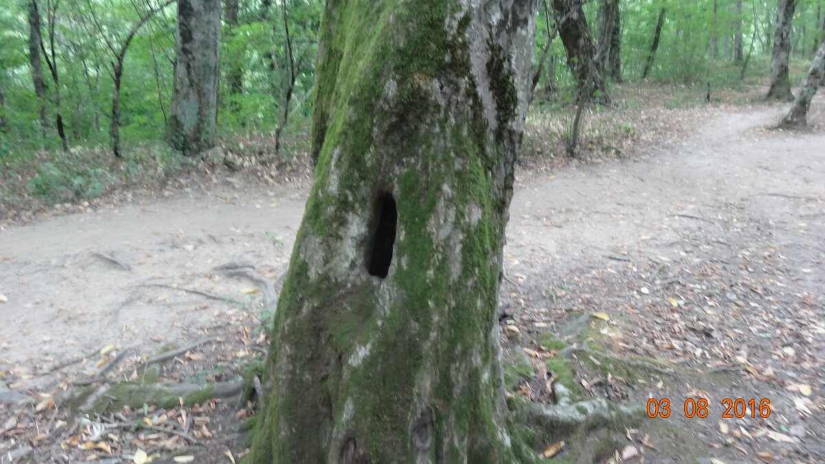 ДУПЛО - СЕРГЕЙ ФИЛОЧКИН