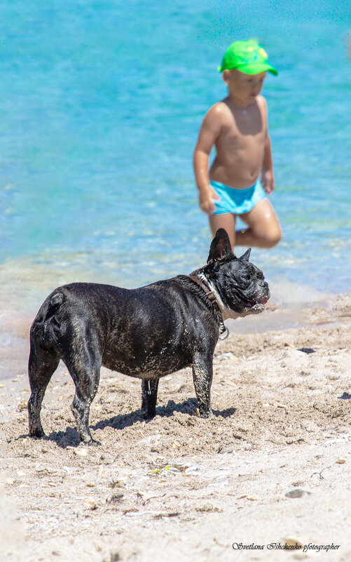 ... - Светлана Ищенко