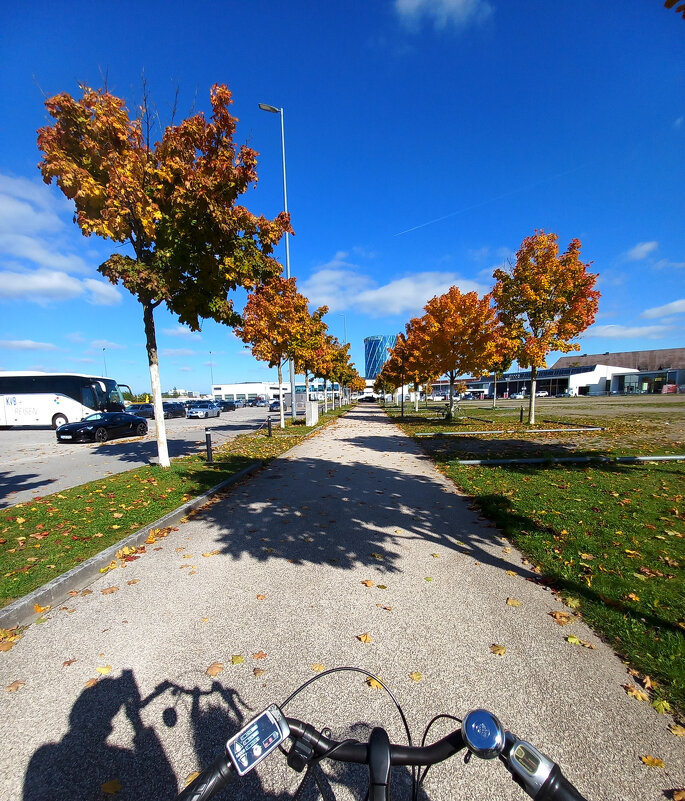 Осень в Бёблингене - Сергей Порфирьев