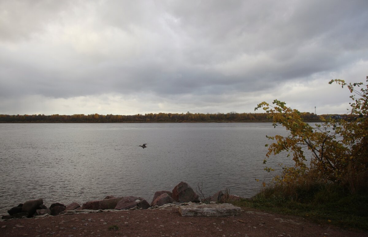 Осеннее - Наталья Герасимова