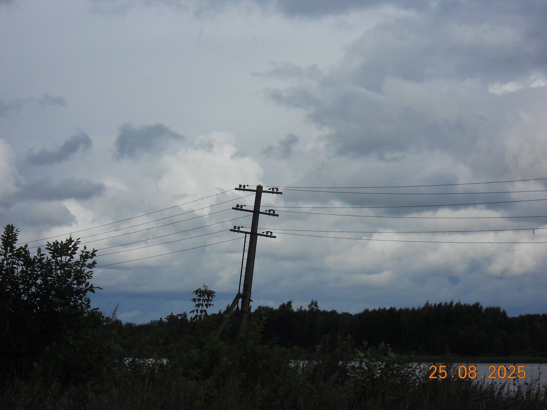 без названия - fogmeadowww m