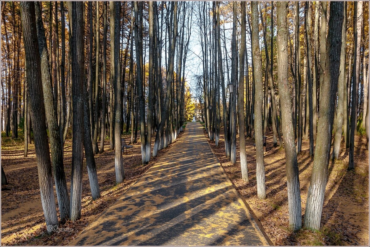 Солнечный октябрь. - Aquarius - Сергей