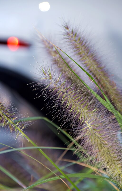 *** - Павленко Михаил 