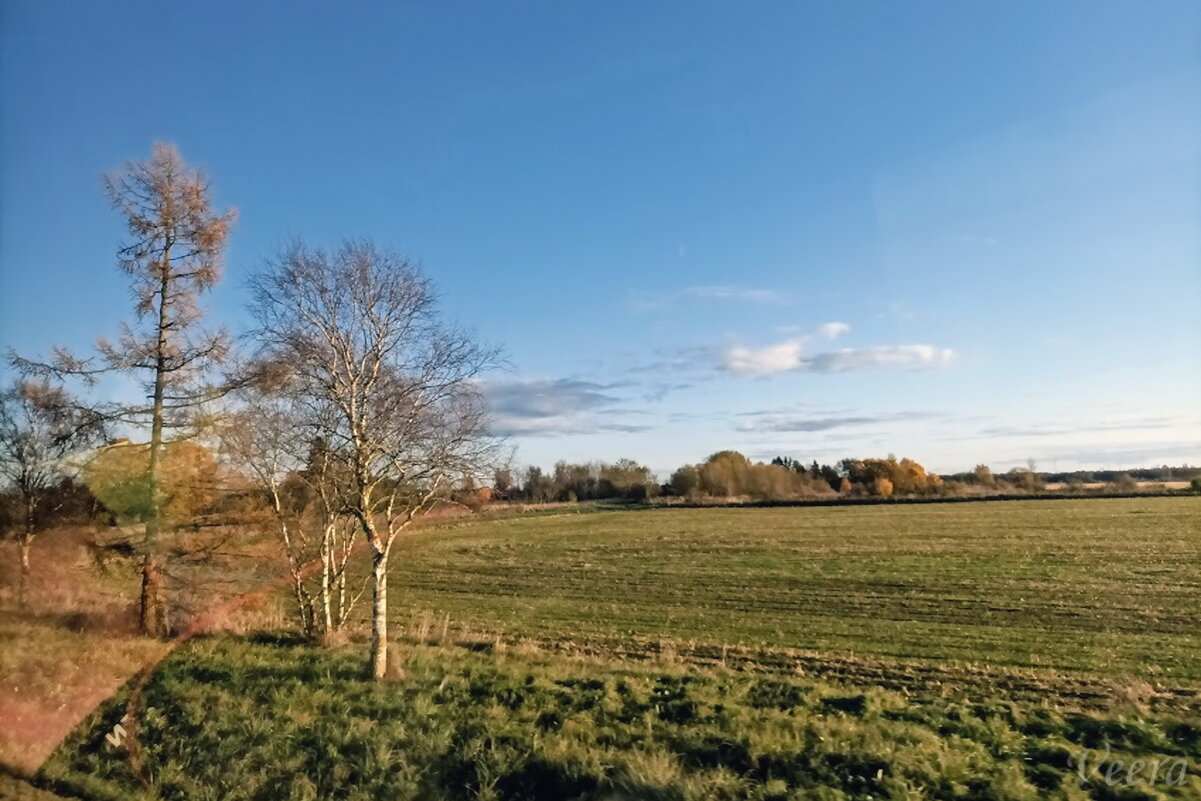 Мимоходом... - Veera V