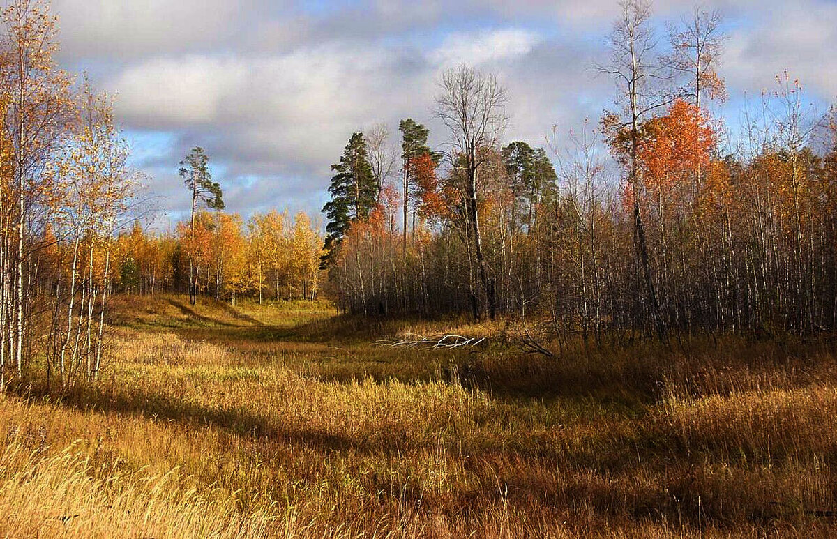 Осенняя акварель! - Владимир Осенняя акварель! - Владимир