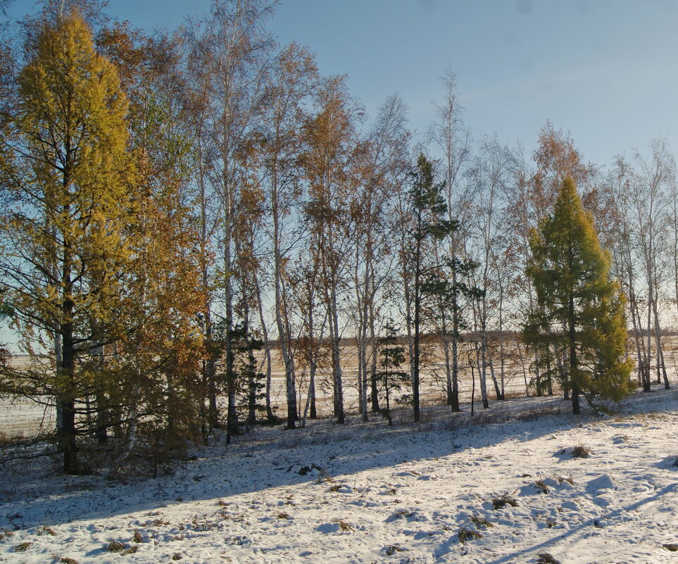 Октябрь. - сергей ермошкин Октябрь. - сергей ермошкин