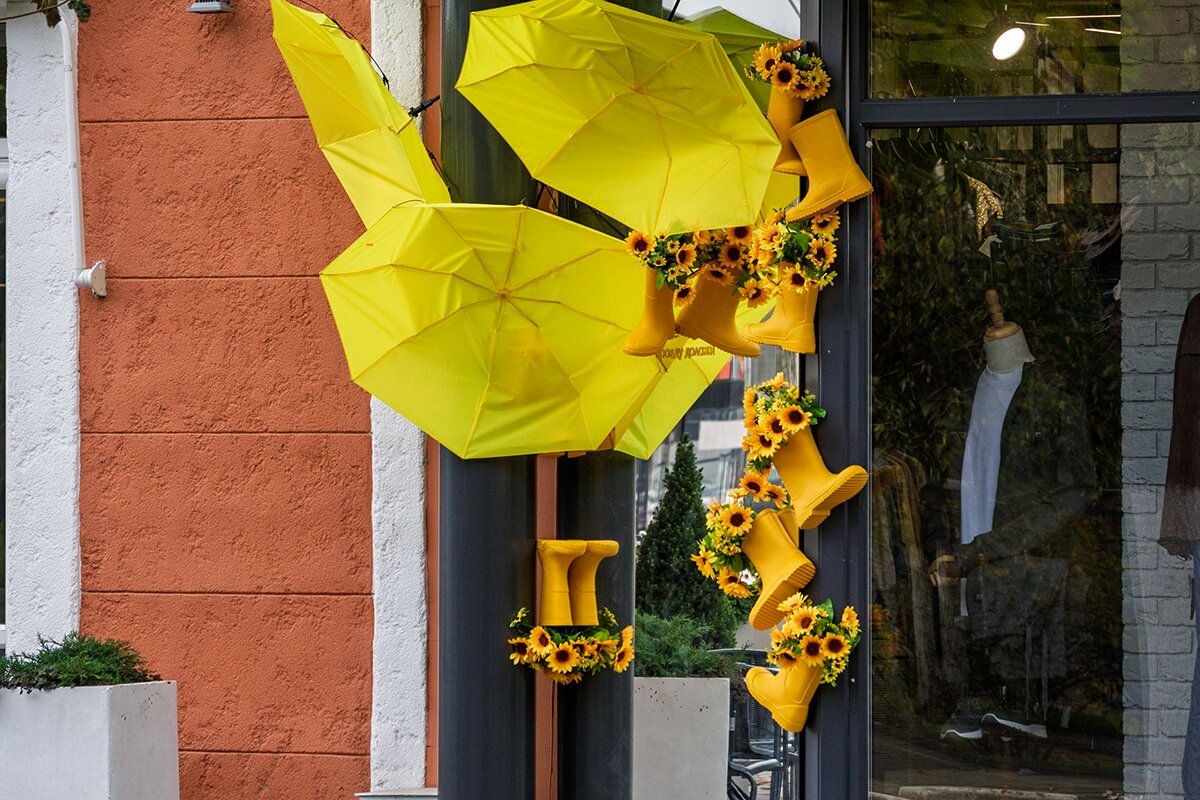 Осенний мотив - Игорь Сикорский