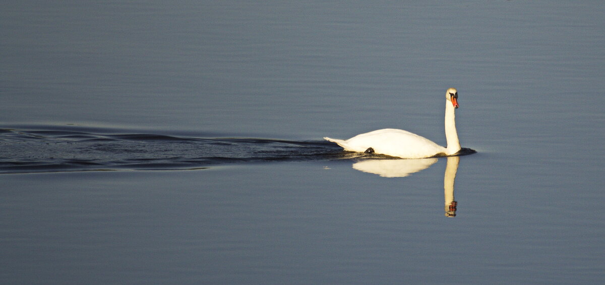 красавец - Владимир Зырянов