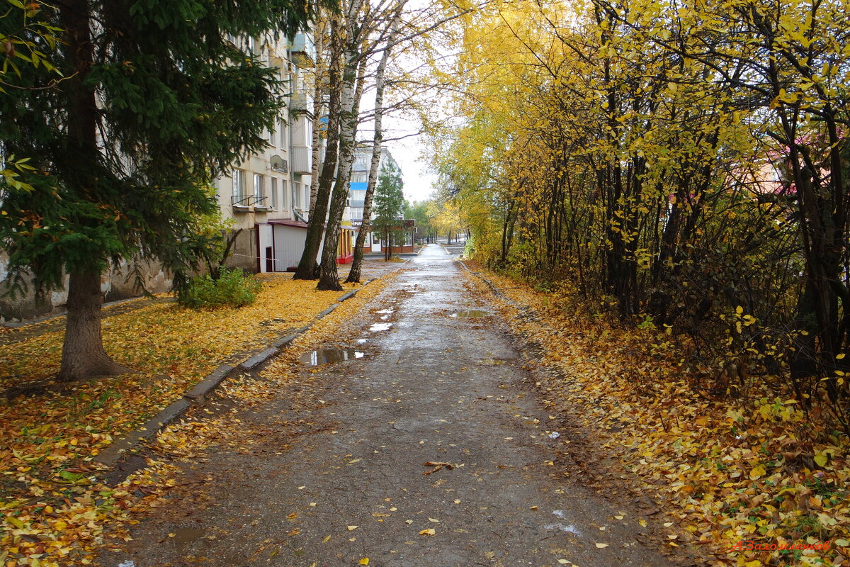 Октябрь в городе.. - Андрей Заломленков Октябрь в городе.. - Андрей Заломленков