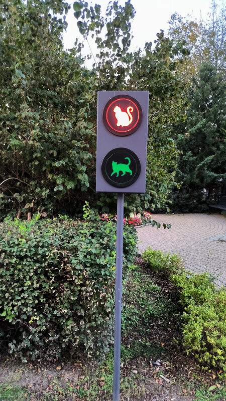 Зеленоградский светофор. - Ольга 