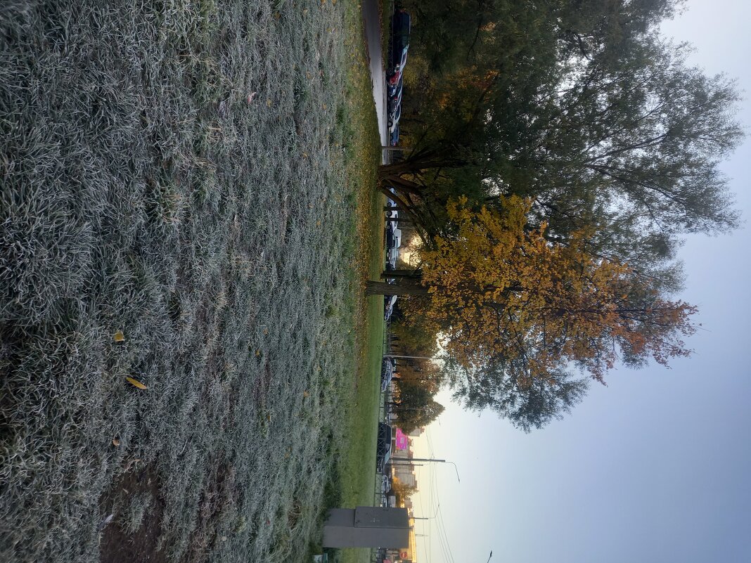 Осень - Сапсан 