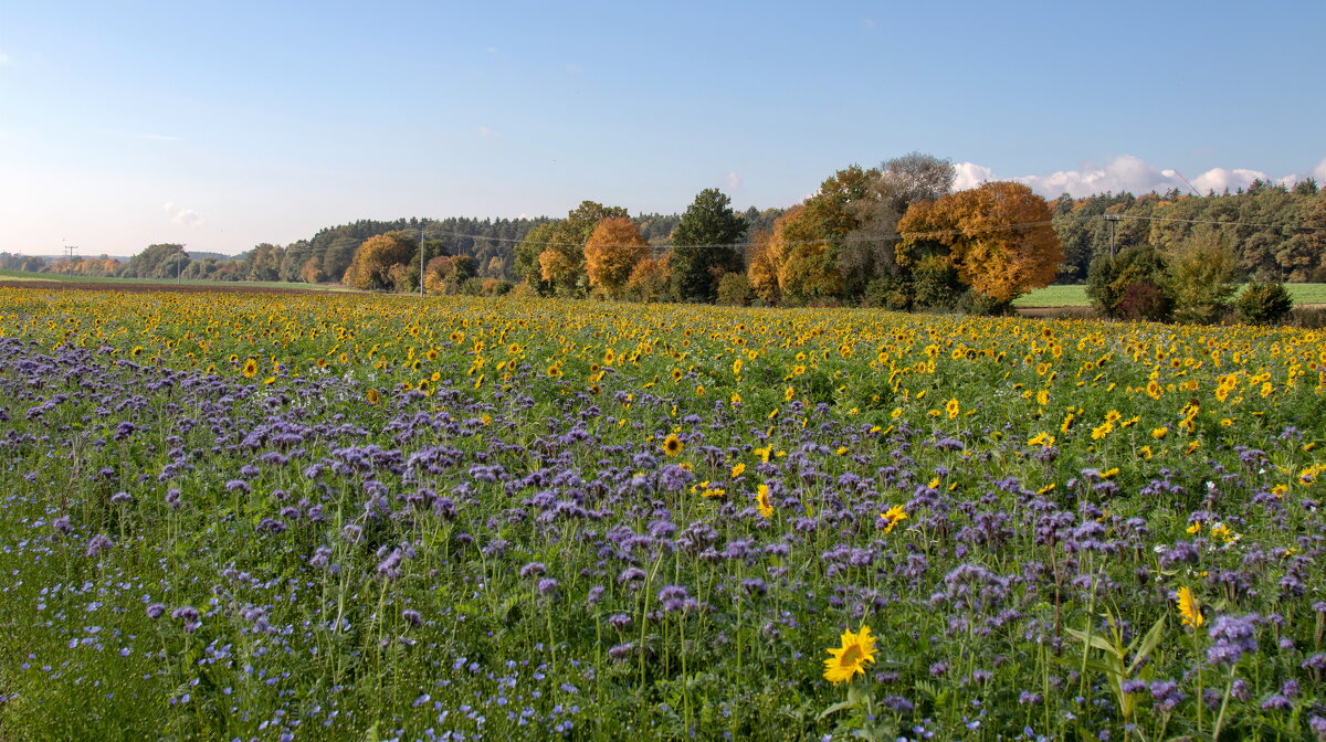 -- - vladimir -- - vladimir