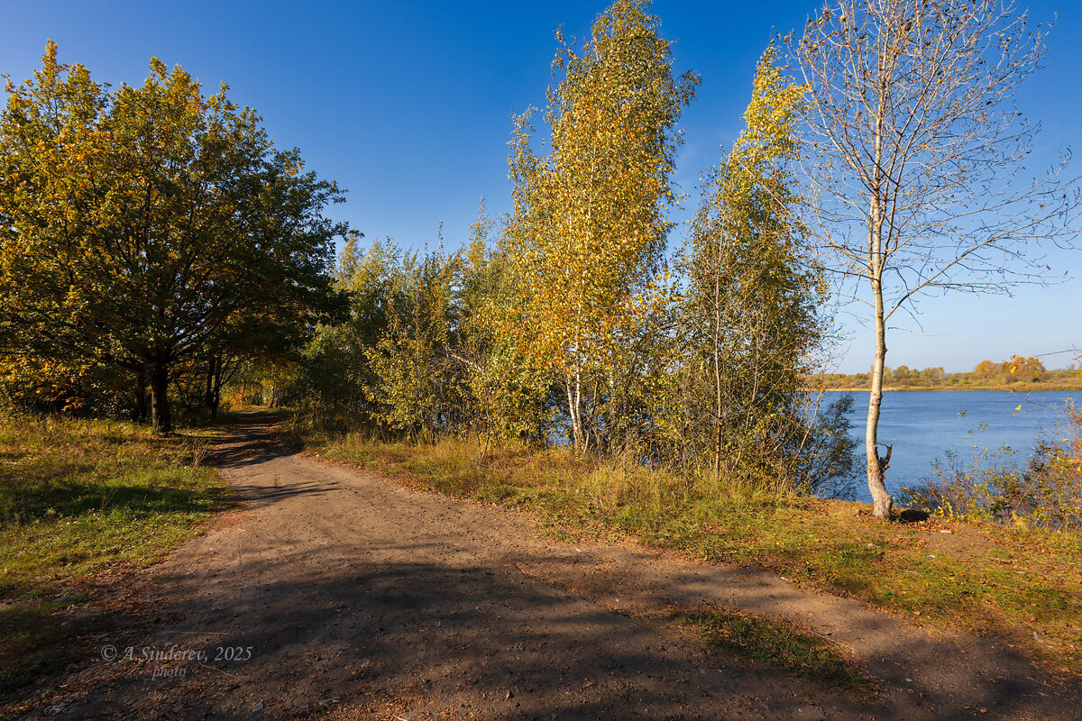 Осенняя природа у реки - Александр Синдерёв