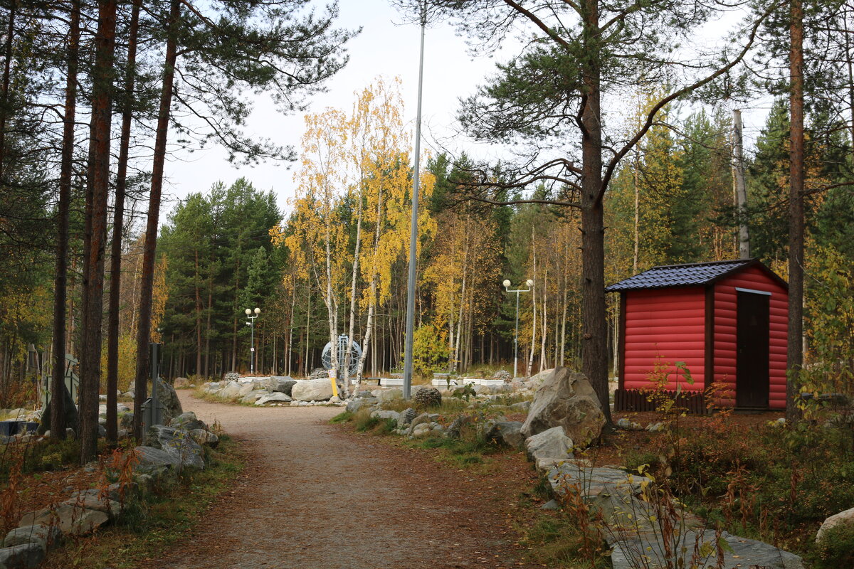 Осенние прогулки - Ольга Осенние прогулки - Ольга
