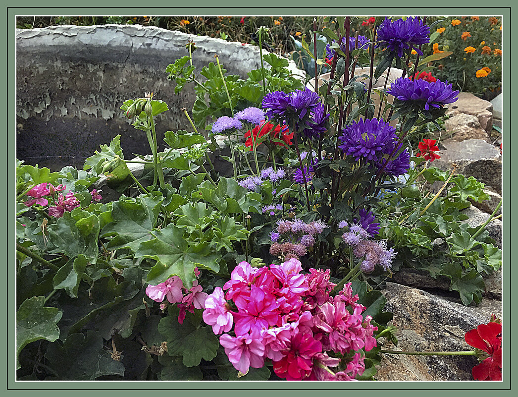 Цветение - Владимир Кроливец