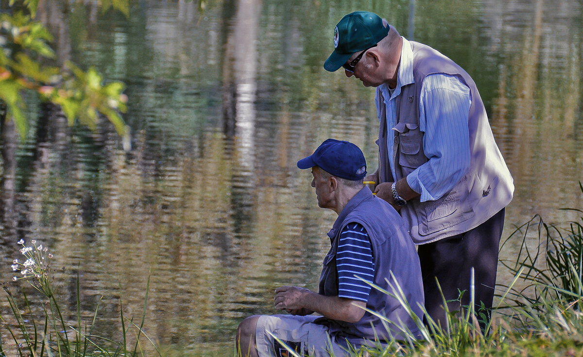 Верные друзья - Alexandеr P