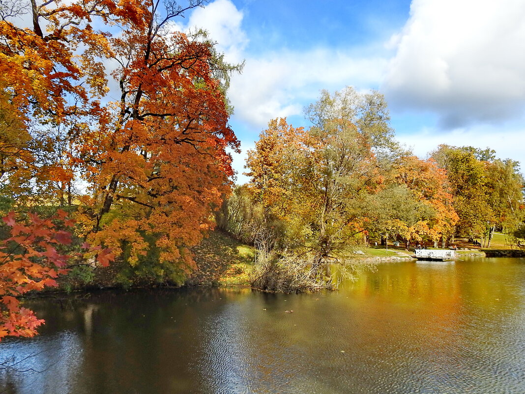 осень - ИННА ПОРОХОВА