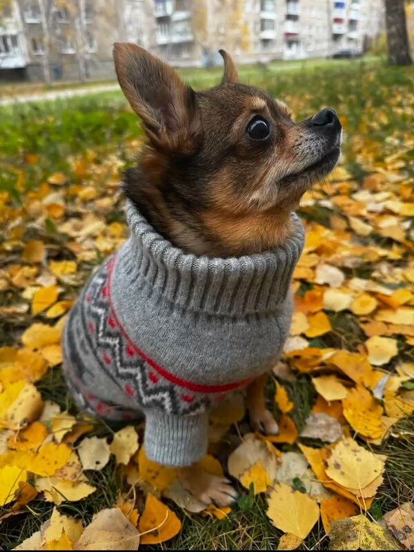 Октябрь - Венера Чуйкова Октябрь - Венера Чуйкова