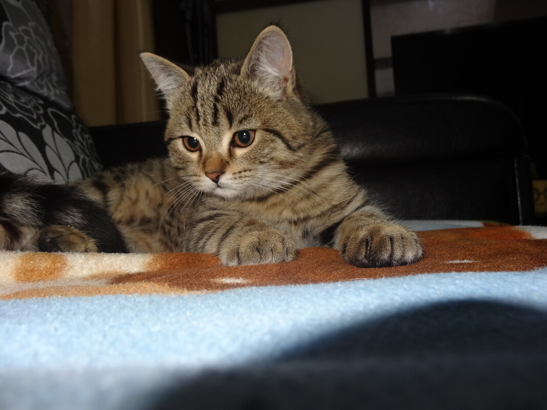 МУРЗИК - СЕРГЕЙ ФИЛОЧКИН МУРЗИК - СЕРГЕЙ ФИЛОЧКИН