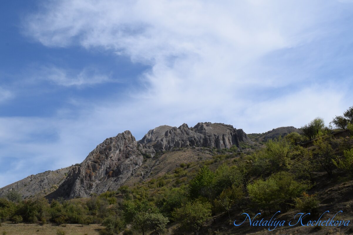 Природа Крыма - Amazing Cosmea
