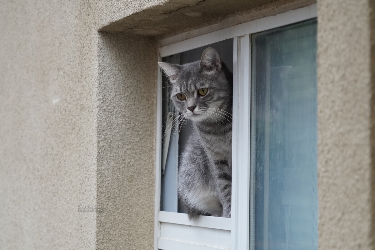 Сторож - Сергей Беляев