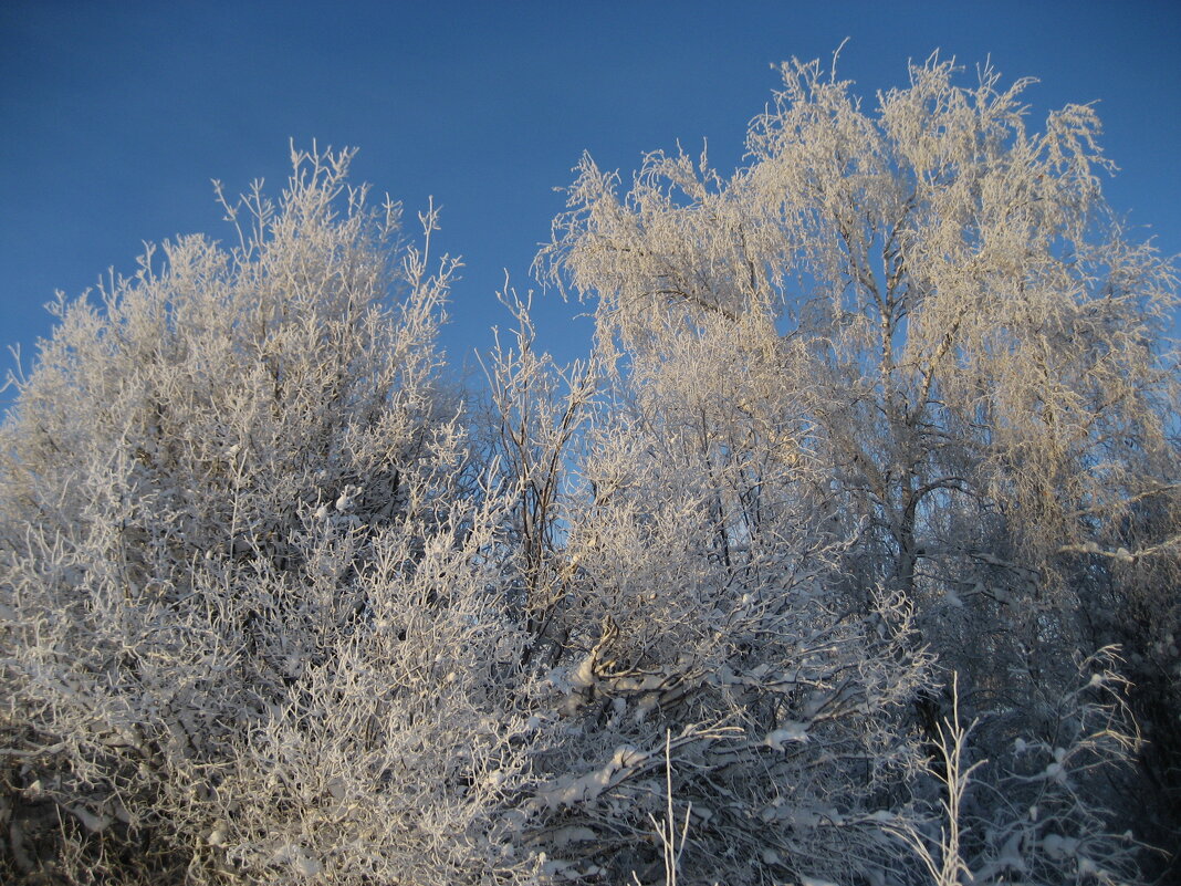 Зима - Anna Ivanova