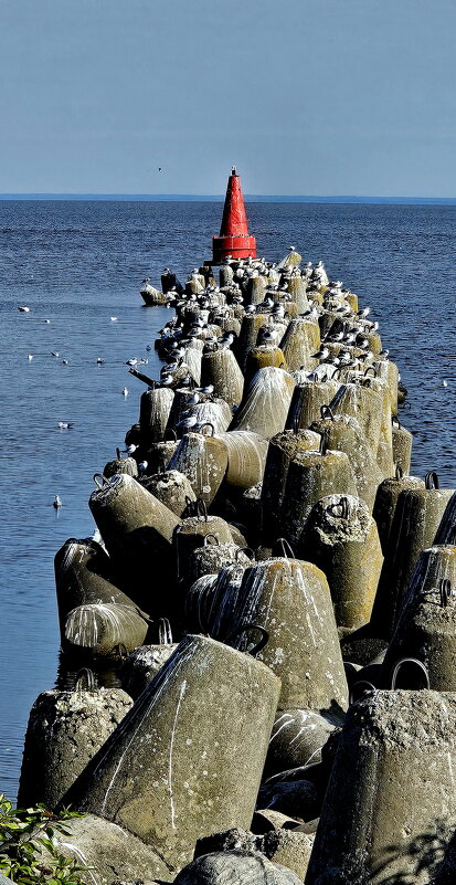 Озеро Белое. - Михаил Свиденцов