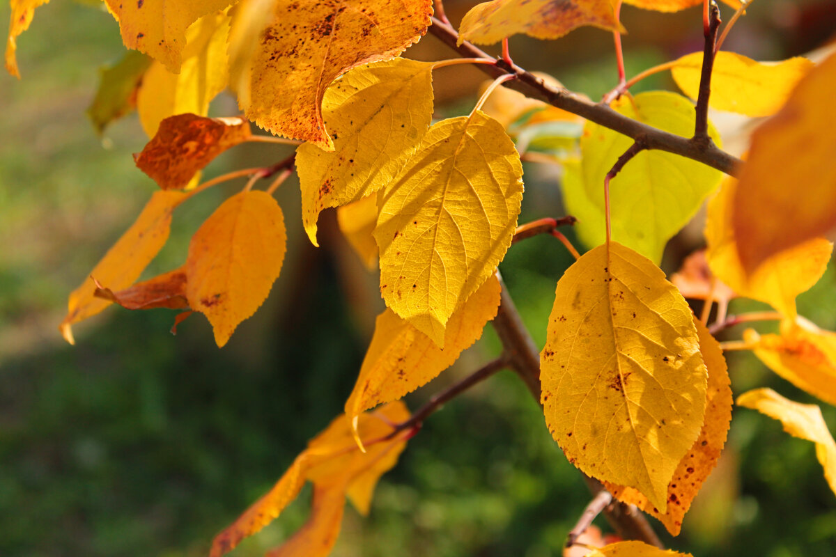 ... - Наталья 