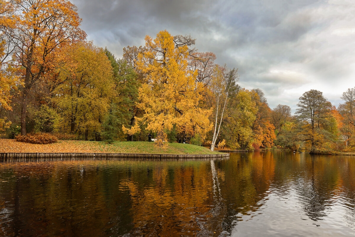 Елагин остров - skijumper Иванов