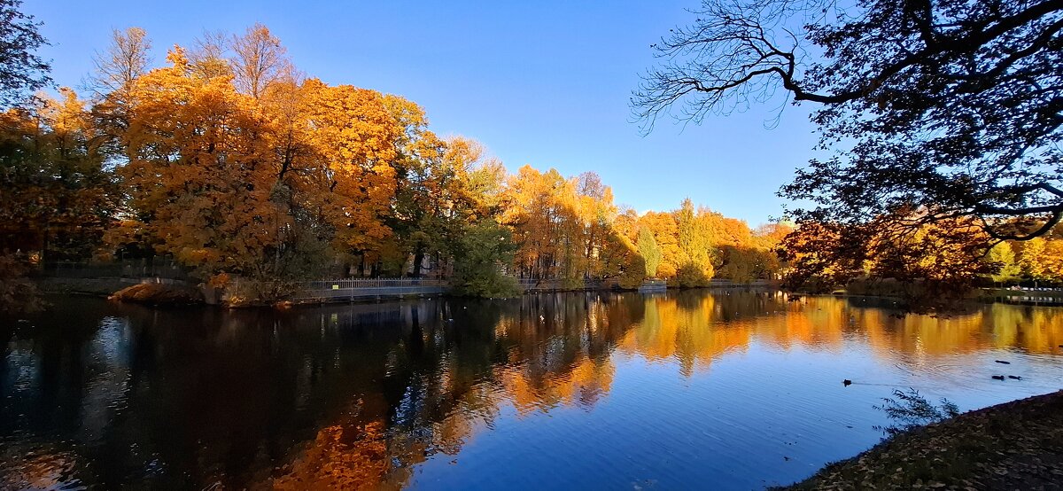 Осень, ты прекрасна! - Хватова Марина 