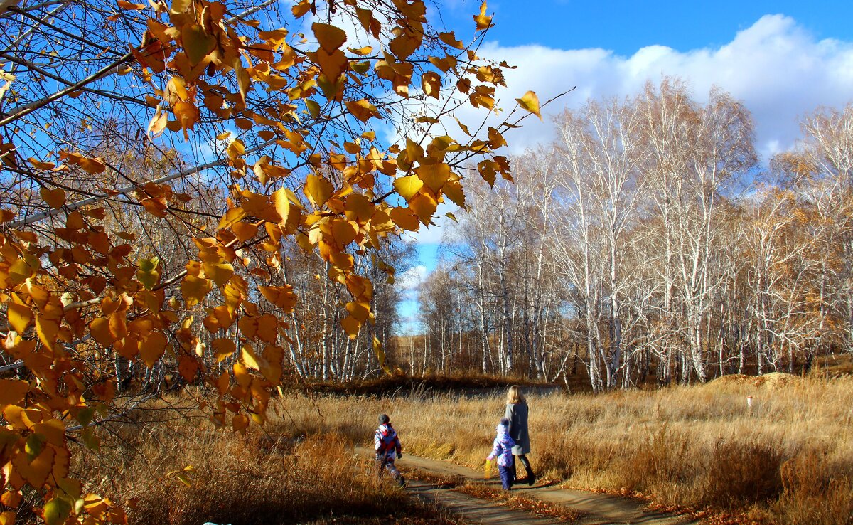 Прогулка - Владимир Помазан