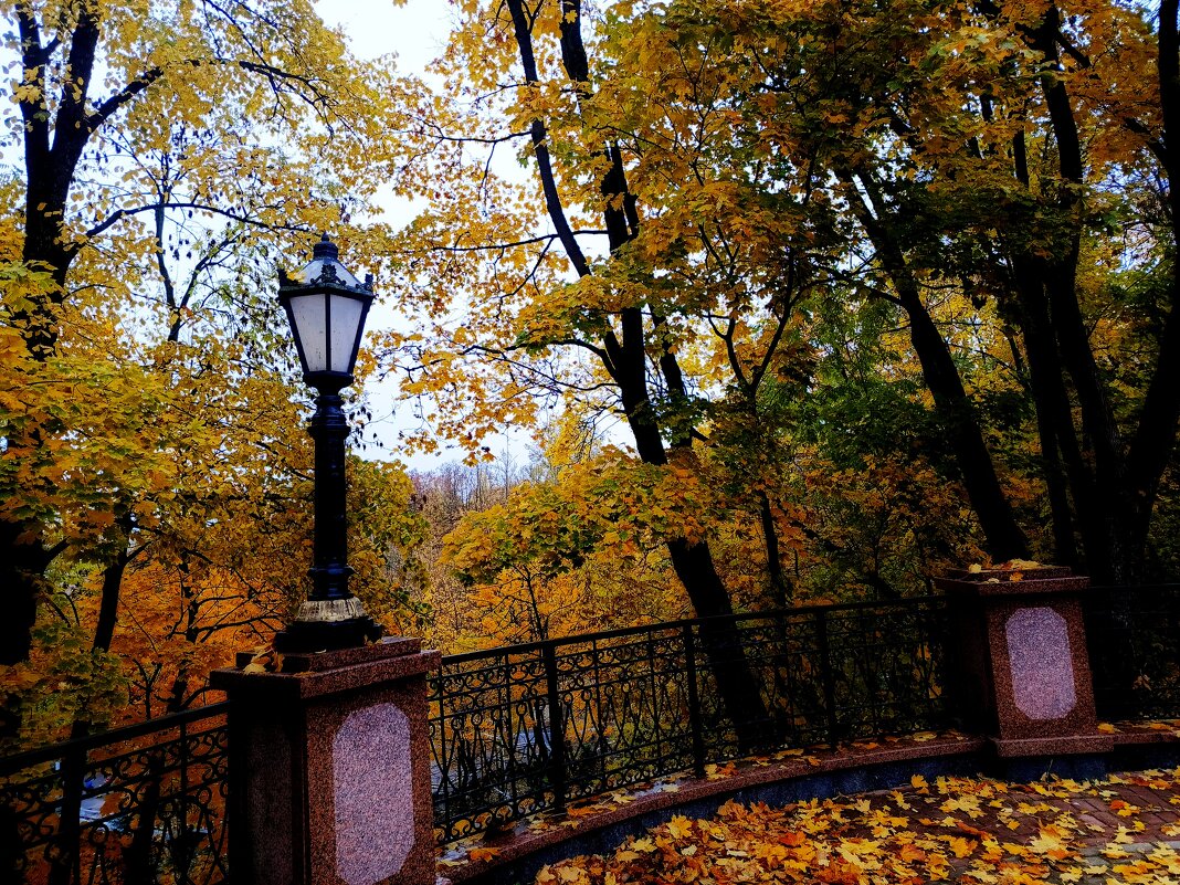 Прогулка по Осени. - Vladimir Semenchukov Прогулка по Осени. - Vladimir Semenchukov