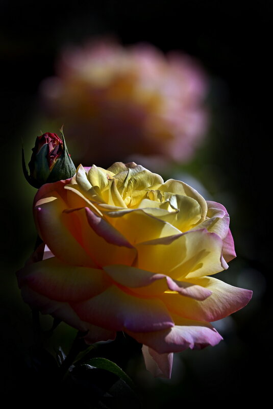 ВДНХ в сентябре - Михаил Бибичков